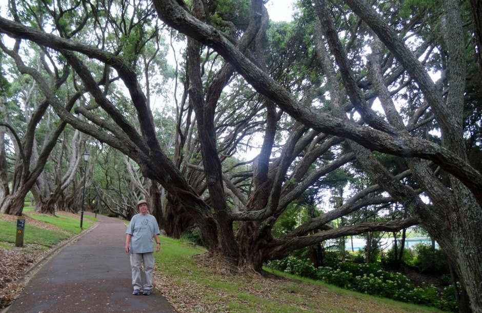 18. Aukland, New Zealand