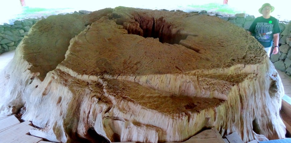 188. Waitangi, New Zealand