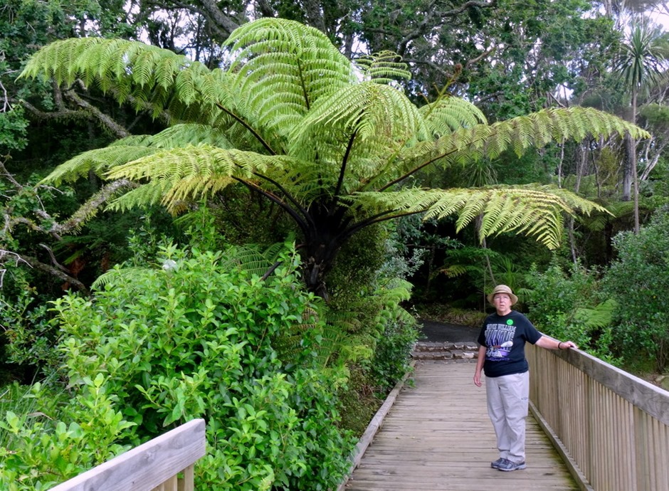 192. Waitangi, New Zealand