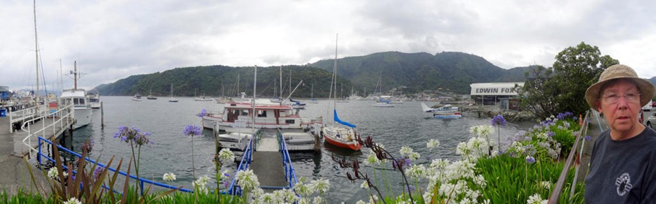 1b. Picton, New Zealand_stitch
