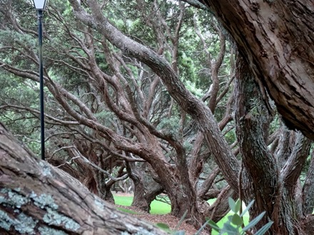 20. Aukland, New Zealand