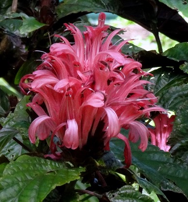 205. Waitangi, New Zealand