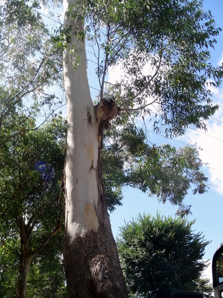 207. Sydney, Australia  (Day 1)