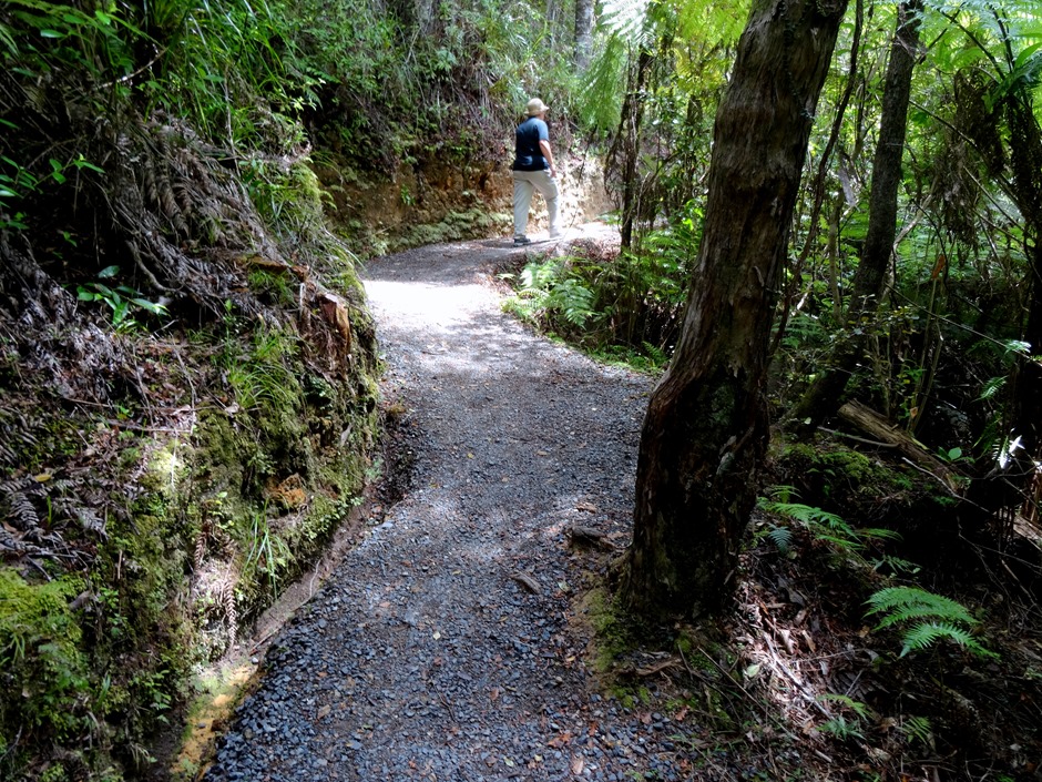 228. Waitangi, New Zealand