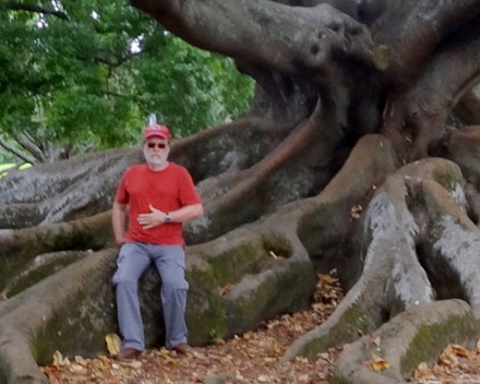 23a. Aukland, New Zealand