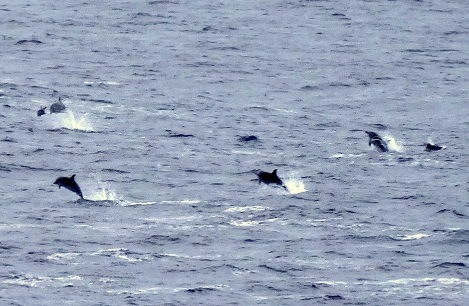 29. At Sea in South Pacific