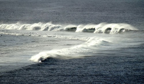 295.  Opunohu Bay, Moorea