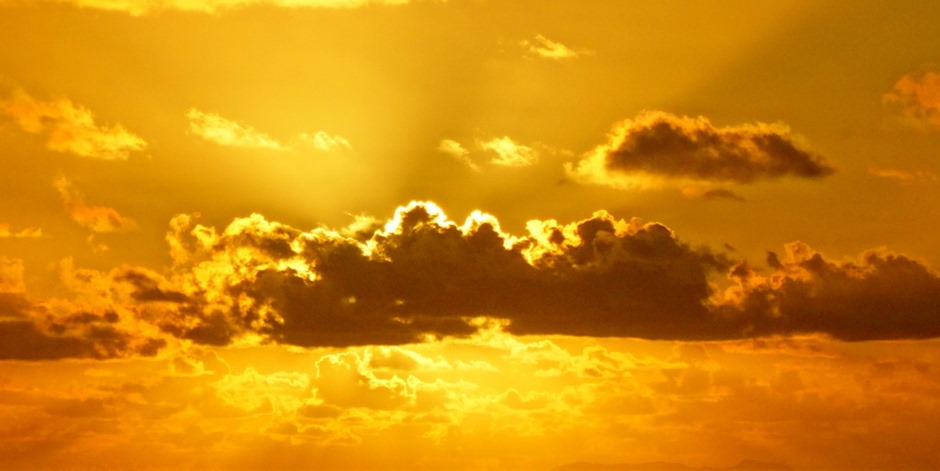 313.  Opunohu Bay, Moorea