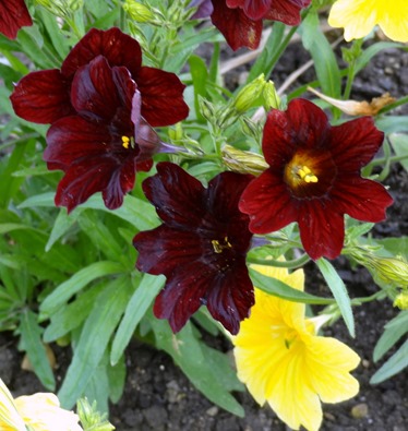 33. Picton, New Zealand