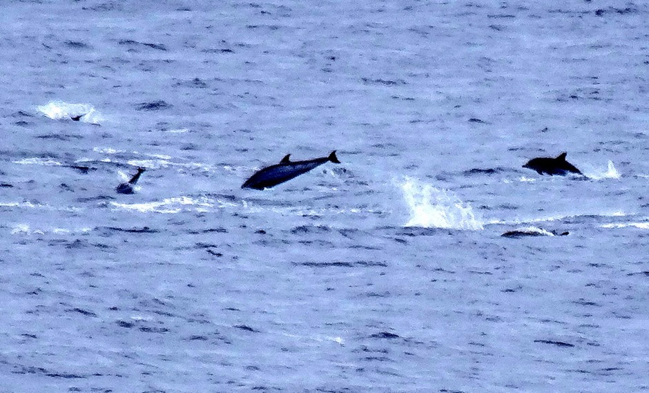 34b. At Sea in South Pacific