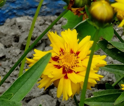 35. Picton, New Zealand