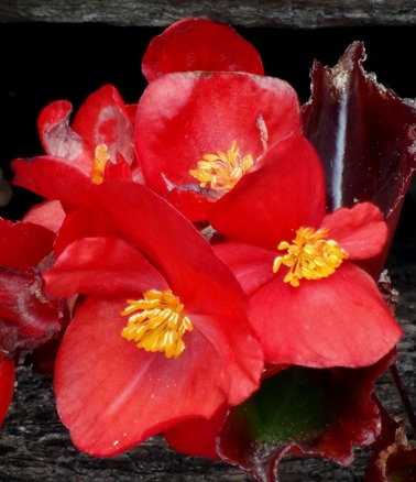 36. Picton, New Zealand