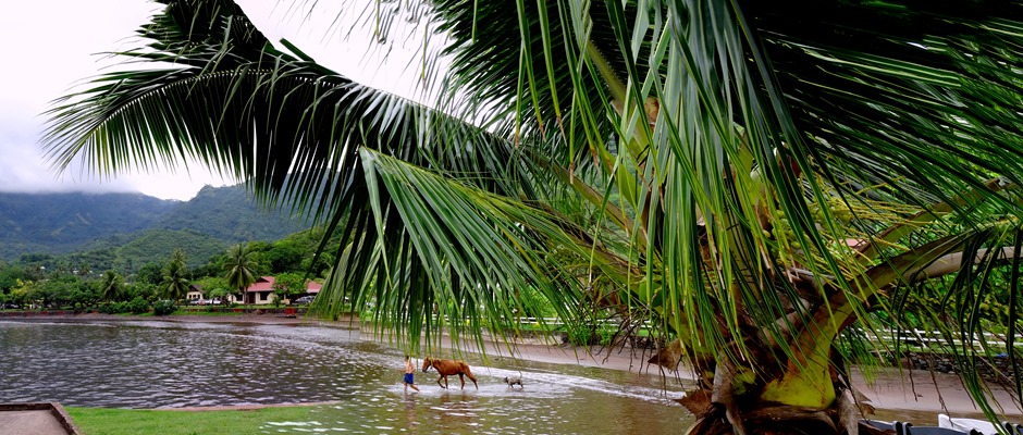 44a. Nuku Hiva, Marquesa Islands_stitch