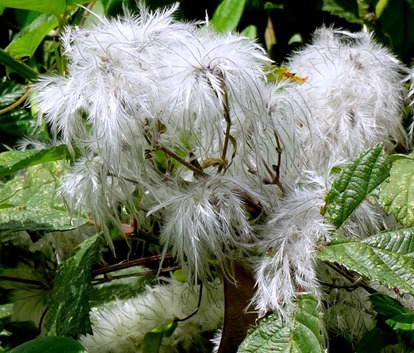 49. Picton, New Zealand