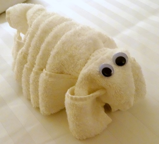 5. At Sea in South Pacific