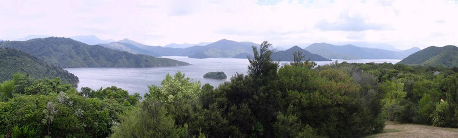54aa. Picton, New Zealand_stitch