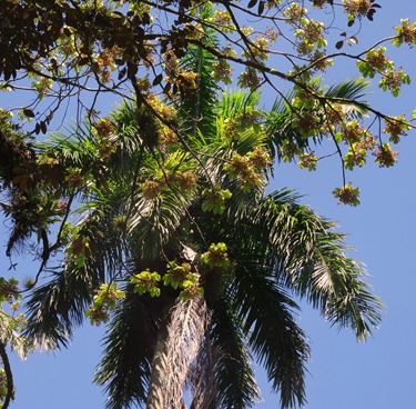 60. Puerto Limon, Costa Rica