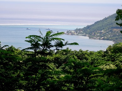 73.  Opunohu Bay, Moorea