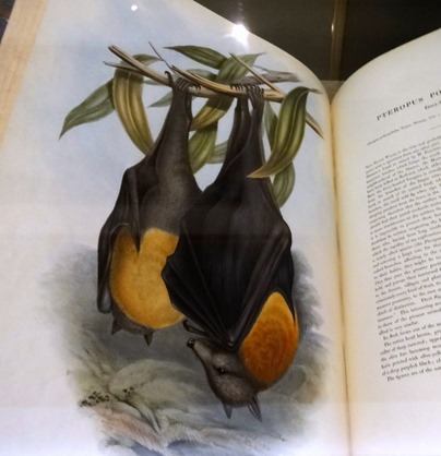 79. Melbourne, Australia