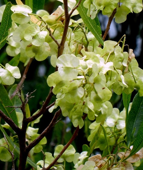 79. Picton, New Zealand