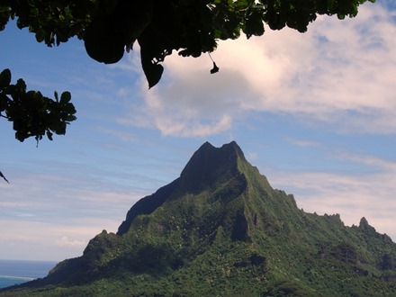 81.  Opunohu Bay, Moorea