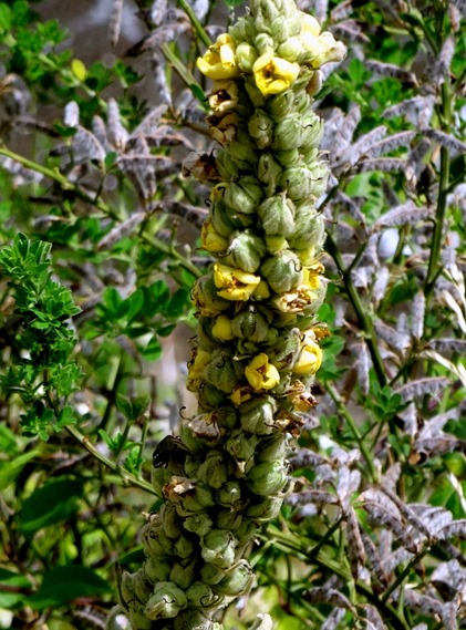 81. Picton, New Zealand