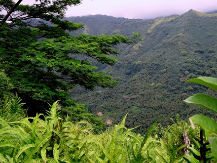 85. Nuku Hiva, Marquesa Islands