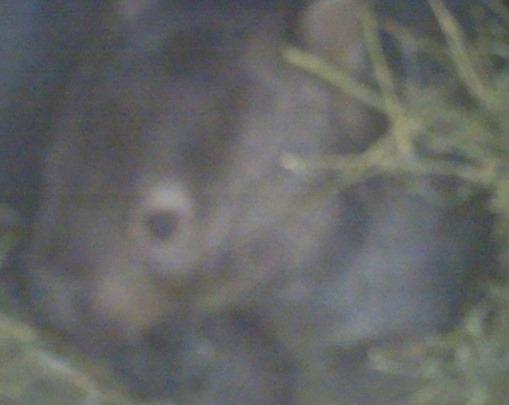 85. Sydney, Australia  (Day 1)