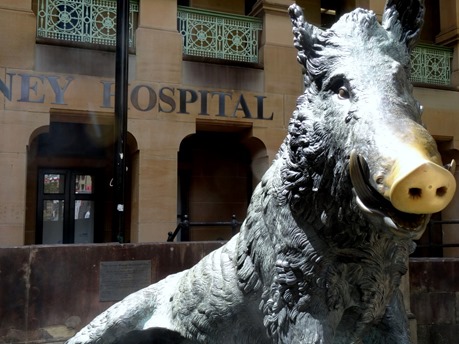 85. Sydney, Australia  (Day 2)