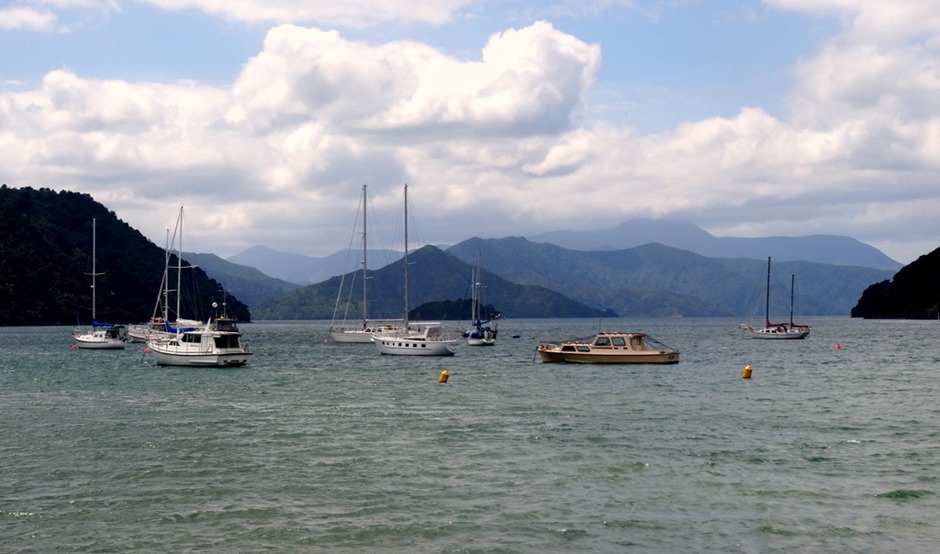 91. Picton, New Zealand