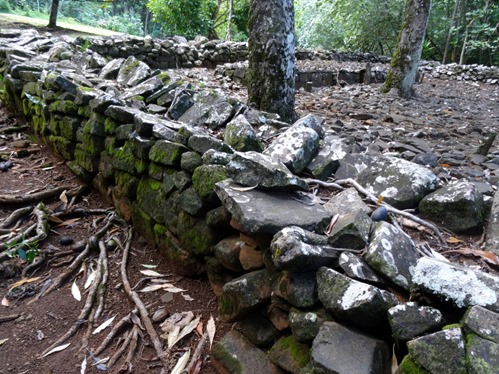 93.  Opunohu Bay, Moorea
