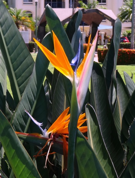 121. At Sea Toward Townsville, Australia