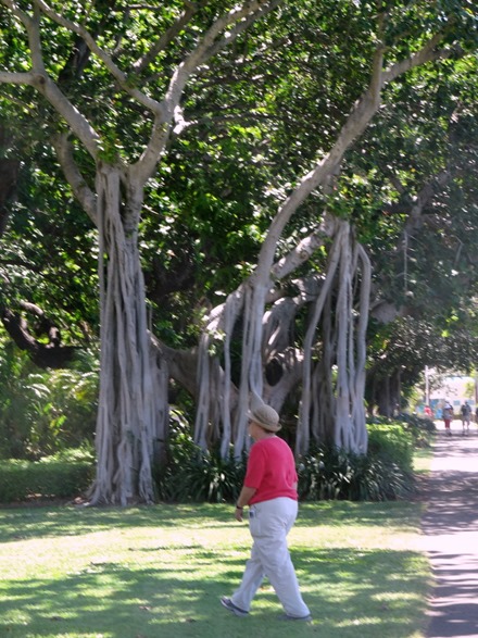 122. At Sea Toward Townsville, Australia