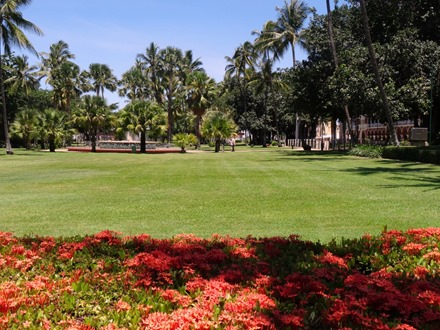128. At Sea Toward Townsville, Australia