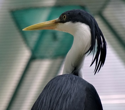 131. Cairns, Australia