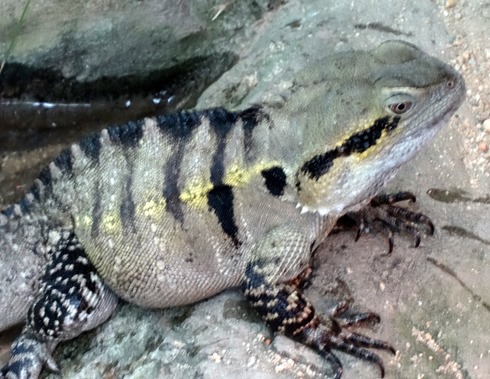 138. Cairns, Australia