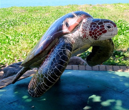 151. At Sea Toward Townsville, Australia