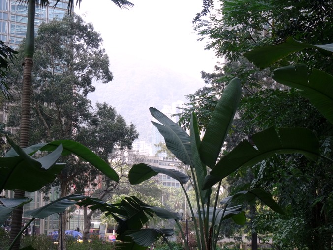 155. Hong Kong, China (Day 1)