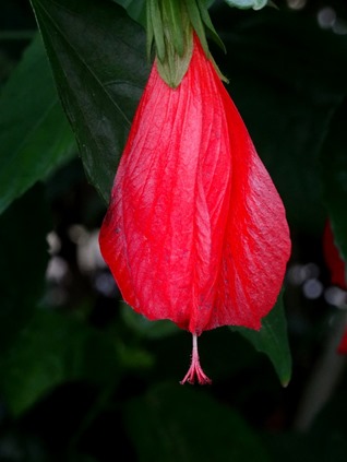 161. Hong Kong, China (Day 1)