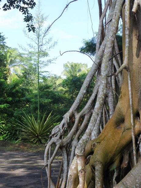 18. Semarang, Java, Indonesia