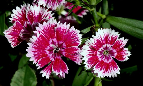 185. Hong Kong, China (Day 1)