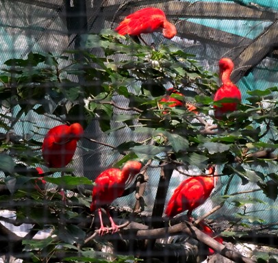 190. Hong Kong, China (Day 1)