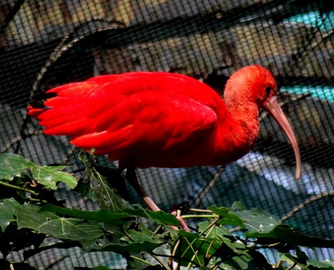 191. Hong Kong, China (Day 1)