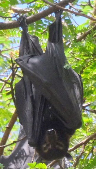 200. Cairns, Australia