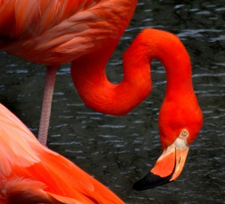 201. Hong Kong, China (Day 1)