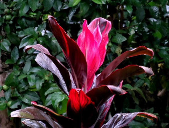 205. Bali, Indonesia