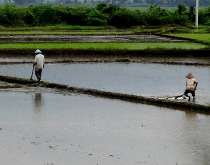 212c. Semarang, Java, Indonesia