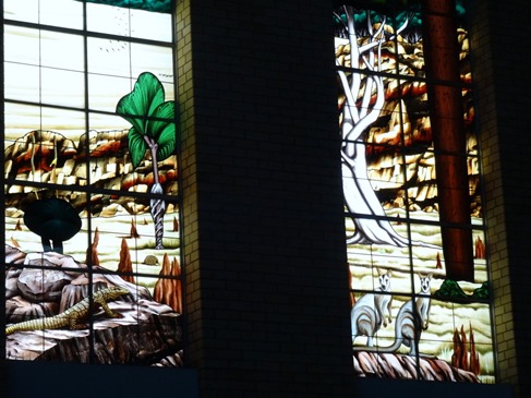 228. Cairns, Australia