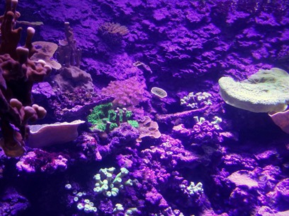 24. At Sea Toward Townsville, Australia