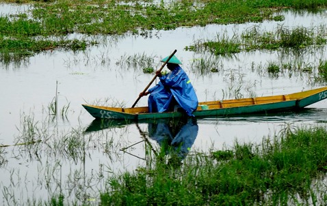 251. Semarang, Java, Indonesia